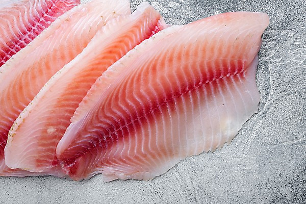 포토 JPG 해외이미지 회색배경 실내 근접촬영 사람없음 생선회 신선 날것 틸라피아 해외포토 뷰포인트 백그라운드 내부 회색 회 민물고기 파일형식