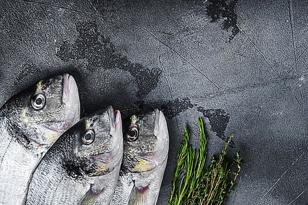 포토 JPG 해외이미지 음식 식재료 회색배경 실내 어류 요리 사람없음 하이앵글 도미 로즈메리 백리향 해외포토 뷰포인트 백그라운드 내부 수중동물 회색 허브 파일형식