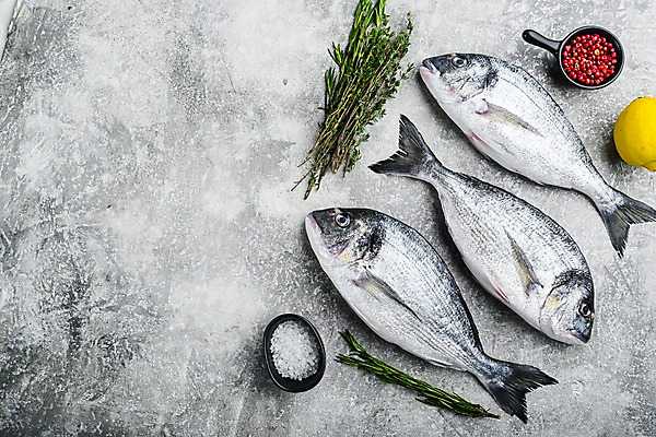 포토 JPG 해외이미지 음식 식재료 회색배경 실내 어류 요리 사람없음 레몬 도미 소금 후추 로즈메리 백리향 해외포토 백그라운드 과일 내부 수중동물 회색 허브 향신료 파일형식
