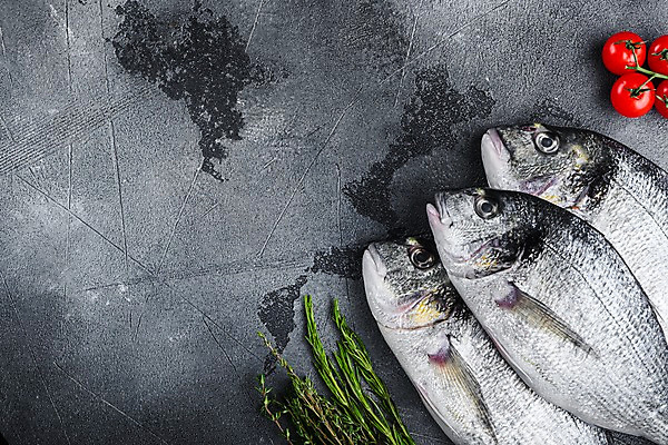 포토 JPG 해외이미지 음식 식재료 방울토마토 회색배경 실내 어류 요리 사람없음 하이앵글 도미 로즈메리 백리향 해외포토 뷰포인트 백그라운드 토마토 내부 수중동물 회색 허브 파일형식