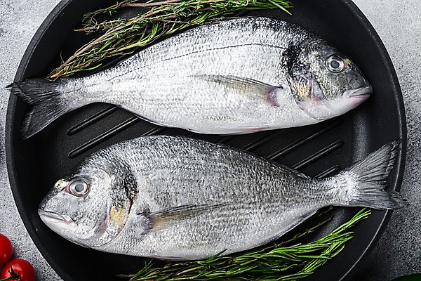 포토 JPG 해외이미지 음식 식재료 회색배경 실내 어류 요리 사람없음 하이앵글 프라이팬 도미 로즈메리 백리향 해외포토 뷰포인트 백그라운드 주방용품 내부 수중동물 회색 허브 파일형식