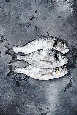 포토 JPG 해외이미지 음식 식재료 회색배경 실내 어류 요리 사람없음 하이앵글 도미 해외포토 뷰포인트 백그라운드 내부 수중동물 회색 파일형식