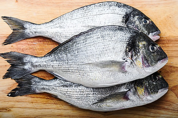 포토 JPG 해외이미지 음식 식재료 실내 어류 요리 사람없음 하이앵글 도미 나무도마 해외포토 뷰포인트 도마 내부 목재 수중동물 파일형식