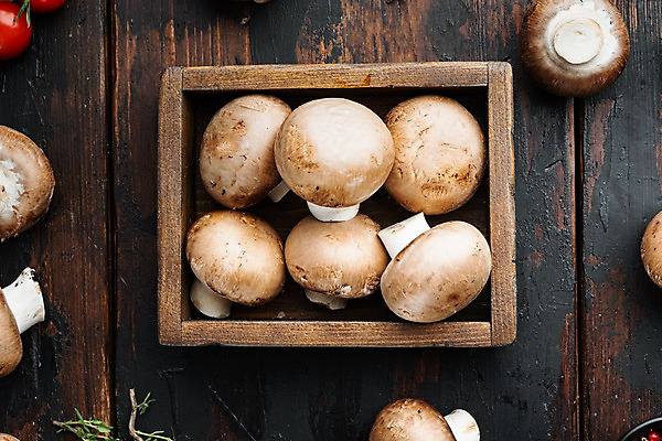 포토 JPG 해외이미지 실내 사람없음 하이앵글 여러개 나무상자 양송이 나무탁자 해외포토 뷰포인트 다수 탁자 내부 상자 버섯 파일형식