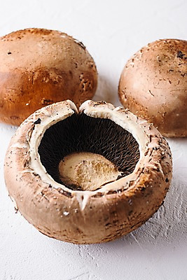 포토 JPG 해외이미지 실내 근접촬영 사람없음 세개 흰배경 양송이 해외포토 뷰포인트 백그라운드 3 내부 버섯 흰색 파일형식