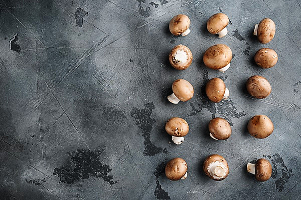 포토 JPG 해외이미지 회색배경 실내 사람없음 하이앵글 여러개 양송이 카피스페이스 해외포토 뷰포인트 다수 백그라운드 내부 버섯 공백 회색 파일형식