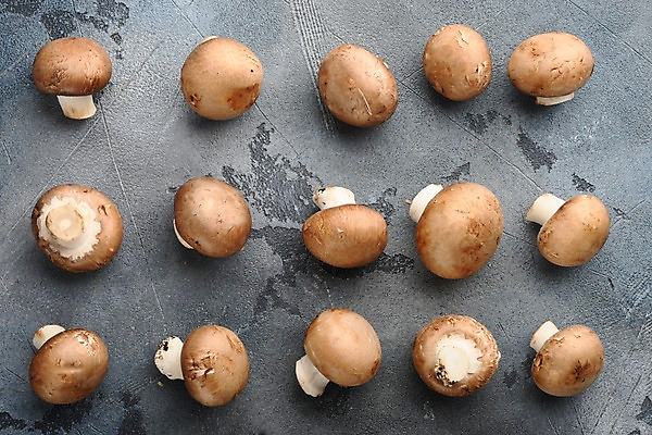 포토 JPG 해외이미지 회색배경 실내 사람없음 하이앵글 여러개 양송이 해외포토 뷰포인트 다수 백그라운드 내부 버섯 회색 파일형식