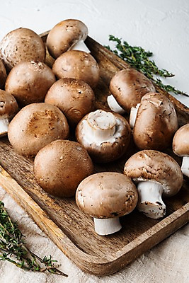 포토 JPG 해외이미지 실내 사람없음 흰배경 양송이 나무쟁반 백리향 해외포토 백그라운드 쟁반 내부 목재 버섯 흰색 파일형식