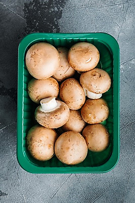 포토 JPG 해외이미지 회색배경 실내 사람없음 하이앵글 여러개 양송이 플라스틱통 해외포토 뷰포인트 다수 백그라운드 통 내부 버섯 회색 플라스틱 파일형식