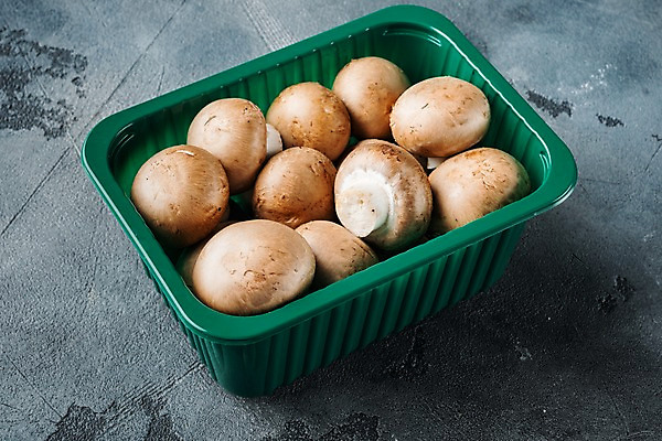 포토 JPG 해외이미지 회색배경 실내 사람없음 여러개 양송이 플라스틱통 해외포토 다수 백그라운드 통 내부 버섯 회색 플라스틱 파일형식