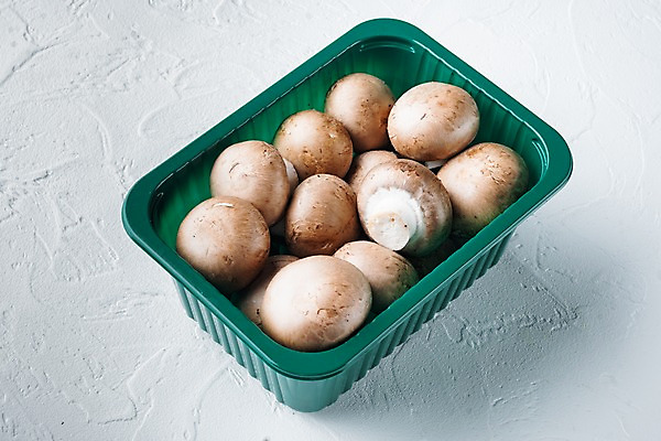 포토 JPG 해외이미지 실내 사람없음 여러개 흰배경 양송이 플라스틱통 해외포토 다수 백그라운드 통 내부 버섯 흰색 플라스틱 파일형식