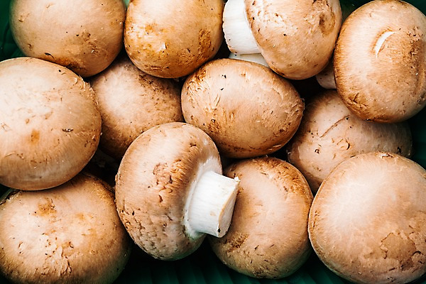 포토 JPG 해외이미지 실내 근접촬영 사람없음 여러개 가득함 양송이 해외포토 뷰포인트 다수 내부 버섯 파일형식