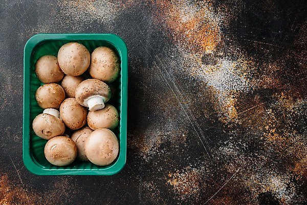 포토 JPG 해외이미지 실내 사람없음 하이앵글 여러개 양송이 플라스틱통 카피스페이스 해외포토 뷰포인트 다수 통 내부 버섯 공백 플라스틱 파일형식