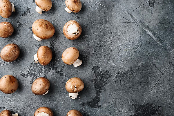 포토 JPG 해외이미지 회색배경 실내 사람없음 하이앵글 양송이 카피스페이스 해외포토 뷰포인트 백그라운드 내부 버섯 공백 회색 파일형식