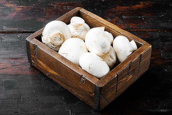 포토 JPG 해외이미지 실내 사람없음 여러개 나무상자 양송이 나무탁자 해외포토 다수 탁자 내부 상자 버섯 파일형식