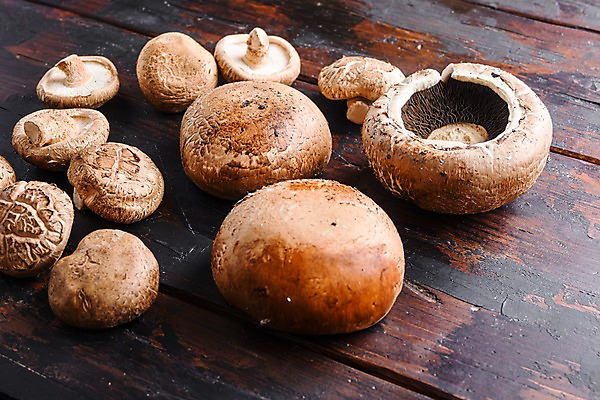 포토 JPG 해외이미지 실내 사람없음 여러개 양송이 표고버섯 나무탁자 해외포토 다수 탁자 내부 버섯 파일형식