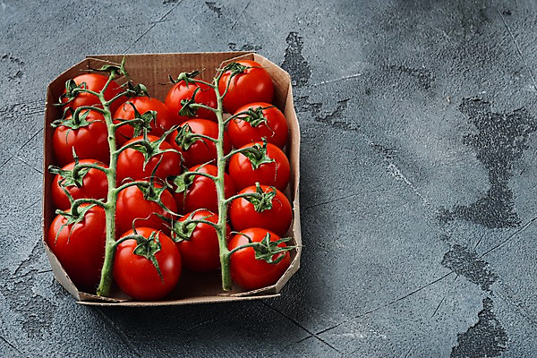 포토 JPG 해외이미지 방울토마토 회색배경 실내 사람없음 종이상자 카피스페이스 해외포토 백그라운드 토마토 내부 상자 공백 회색 파일형식