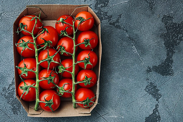 포토 JPG 해외이미지 방울토마토 회색배경 실내 사람없음 하이앵글 종이상자 카피스페이스 해외포토 뷰포인트 백그라운드 토마토 내부 상자 공백 회색 파일형식