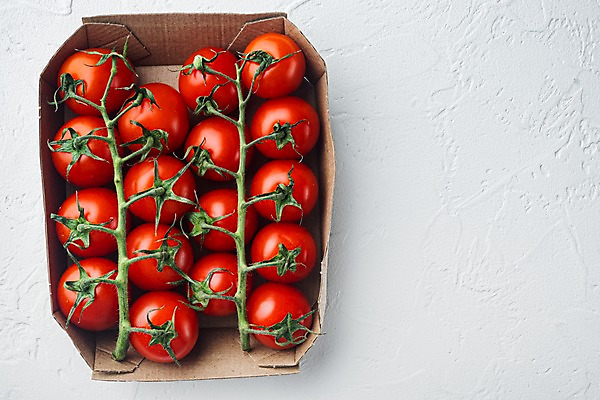 포토 JPG 해외이미지 방울토마토 실내 사람없음 하이앵글 종이상자 흰배경 카피스페이스 해외포토 뷰포인트 백그라운드 토마토 내부 상자 공백 흰색 파일형식