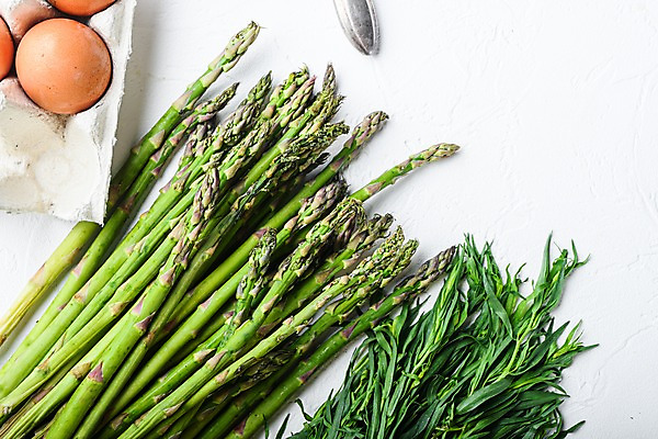 포토 JPG 해외이미지 실내 사람없음 하이앵글 계란 흰배경 아스파라거스 로즈메리 해외포토 뷰포인트 백그라운드 채소 내부 알 흰색 허브 파일형식