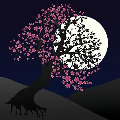 EPS 해외이미지 실루엣 일러스트 밤하늘 사람없음 검은색 봄 벚꽃 보름달 벚나무 야간 언덕 나무뿌리 해외일러스트 자연요소 나무 계절 꽃 컬러 하늘 촬영기법 달 뿌리 파일형식 벡터