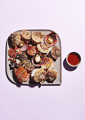 포토 JPG 스튜디오촬영 접시 음식 실내 사람없음 하이앵글 종지 가리비 보라색배경 조개찜 초고추장 국내포토 그릇 식기 뷰포인트 백그라운드 조개 내부 보라색 양념 찜 파일형식