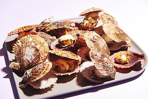 포토 JPG 스튜디오촬영 접시 음식 실내 사람없음 가리비 보라색배경 조개찜 국내포토 식기 백그라운드 조개 내부 보라색 찜 파일형식