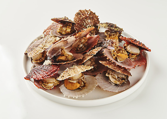 포토 JPG 스튜디오촬영 접시 음식 실내 사람없음 해산물 흰배경 가리비 조개찜 국내포토 식기 백그라운드 조개 내부 흰색 찜 파일형식