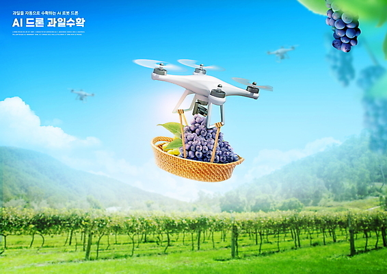 PSD 편집이미지 하늘색 하늘 포도 사람없음 바구니 농사 수확 하이테크 포도밭 드론 포도농장 스마트팜 4차산업 모빌리티 AI_인공지능 이미지편집 산업 교통수단 밭 농업 과일 기술 파란색 농장 파일형식