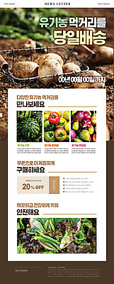 PSD 템플릿 손 ZIP 웹템플릿 토마토 고추 수박 감자 들기 신체부위 갈색 사과 상추 유기농 뉴스레터 무화과 케일 퀵 할인쿠폰 당일배송 이미지템플릿 웰빙 컬러 채소 과일 모션 사람 배송 쿠폰 퀵서비스 파일형식