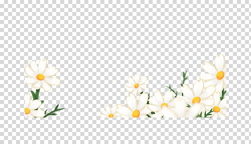 편집 편집이미지 사계절 누끼 사람없음 가을 코스모스 PNG 편집소스 계절 꽃 파일형식