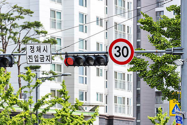 포토 JPG 주간 나무 교통 아파트 사람없음 야외 신호등 통제 사회이슈 도로표지판 교통안전 사고예방 속도제한 안전속도 안전속도5030 30킬로미터 국내포토 자연요소 식물 도로 컨셉 주택 안전 금지 표지판 예방 정책 제한속도 파일형식