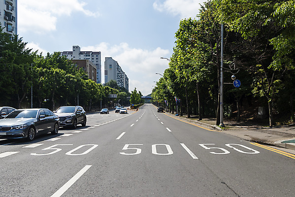 포토 JPG 주간 나무 구름 도로 교통 가로등 자동차 하늘 아파트 사람없음 야외 통제 사회이슈 교통안전 교통표지 사고예방 속도제한 안전속도 안전속도5030 50킬로미터 국내포토 자연요소 식물 공공시설 길 육상교통 컨셉 교통시설 주택 안전 금지 예방 정책 제한속도 파일형식