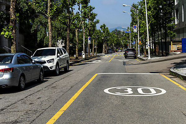 포토 JPG 주간 나무 도로 교통 가로등 자동차 사람없음 야외 통제 사회이슈 교통안전 교통표지 사고예방 속도제한 안전속도 안전속도5030 30킬로미터 국내포토 자연요소 식물 공공시설 길 육상교통 컨셉 교통시설 안전 금지 예방 정책 제한속도 파일형식