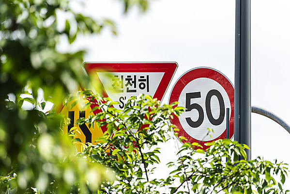 포토 JPG 주간 나무 교통 가로등 사람없음 야외 소프트포커스 통제 사회이슈 도로표지판 교통안전 사고예방 속도제한 안전속도 안전속도5030 50킬로미터 국내포토 자연요소 식물 공공시설 도로 컨셉 촬영기법 안전 금지 표지판 예방 정책 제한속도 파일형식