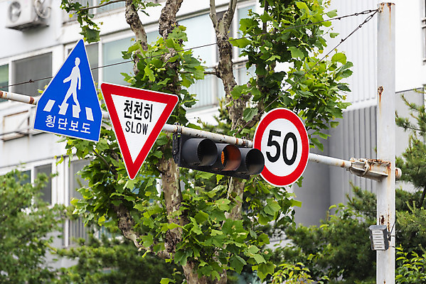 포토 JPG 주간 나무 교통 아파트 사람없음 야외 횡단보도 신호등 통제 사회이슈 도로표지판 교통안전 사고예방 속도제한 안전속도 안전속도5030 50킬로미터 국내포토 자연요소 식물 도로 컨셉 주택 안전 금지 표지판 보행로 예방 정책 제한속도 파일형식