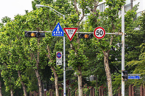 포토 JPG 주간 나무 교통 가로등 아파트 사람없음 야외 횡단보도 신호등 통제 사회이슈 도로표지판 교통안전 사고예방 속도제한 안전속도 안전속도5030 50킬로미터 국내포토 자연요소 식물 공공시설 도로 컨셉 주택 안전 금지 표지판 보행로 예방 정책 제한속도 파일형식