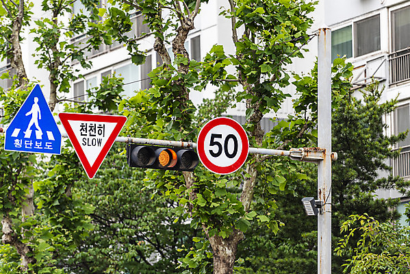 포토 JPG 주간 나무 교통 아파트 사람없음 야외 신호등 통제 사회이슈 도로표지판 교통안전 사고예방 속도제한 안전속도 안전속도5030 50킬로미터 국내포토 자연요소 식물 도로 컨셉 주택 안전 금지 표지판 예방 정책 제한속도 파일형식