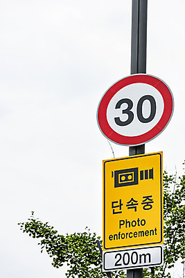 포토 JPG 주간 나무 교통 가로등 사람없음 야외 통제 사회이슈 도로표지판 교통안전 사고예방 속도제한 안전속도 과속단속카메라 안전속도5030 30킬로미터 국내포토 자연요소 식물 공공시설 도로 컨셉 안전 금지 표지판 예방 정책 제한속도 파일형식