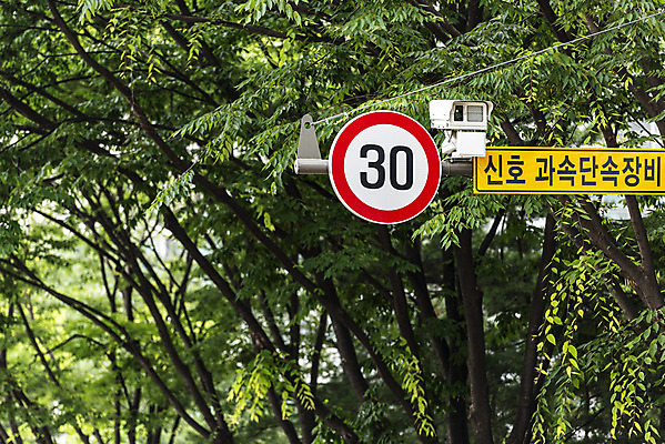 포토 JPG 주간 나무 교통 가로등 사람없음 야외 통제 사회이슈 도로표지판 교통안전 사고예방 속도제한 안전속도 과속단속카메라 안전속도5030 30킬로미터 국내포토 자연요소 식물 공공시설 도로 컨셉 안전 금지 표지판 예방 정책 제한속도 파일형식