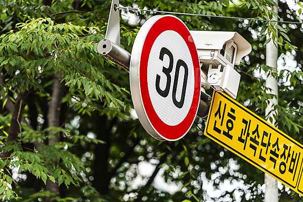 포토 JPG 주간 나무 교통 가로등 사람없음 야외 통제 사회이슈 도로표지판 교통안전 사고예방 속도제한 안전속도 과속단속카메라 안전속도5030 30킬로미터 국내포토 자연요소 식물 공공시설 도로 컨셉 안전 금지 표지판 예방 정책 제한속도 파일형식