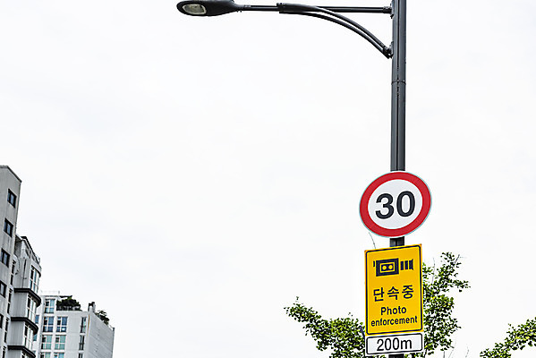 포토 JPG 주간 교통 가로등 아파트 사람없음 야외 나뭇가지 통제 사회이슈 도로표지판 교통안전 사고예방 속도제한 안전속도 과속단속카메라 안전속도5030 30킬로미터 국내포토 자연요소 나무 공공시설 도로 컨셉 주택 안전 금지 표지판 예방 정책 제한속도 파일형식