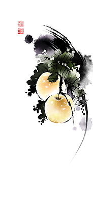 PSD 일러스트 캘리그라피 붓터치 나뭇잎 사람없음 가을 나뭇가지 배 동양화 번짐 낙관 배나무 국내일러스트 나무 계절 잎 과일 미술 파일형식 효과