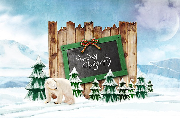 PSD 나무 동물 편집이미지 한마리 계절 리본 크리스마스 겨울 곰 하늘 사람없음 설원 칠판 눈 백곰 나무벽 활용 이미지편집 자연요소 식물 1 기념일 벽 컨셉 포유류 날씨 눈_날씨 목재 파일형식