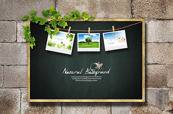 PSD 식물 편집이미지 줄 벽 백그라운드 잎 나뭇잎 벽돌 집게 사람없음 장식 칠판 폴라로이드 폴라로이드사진 활용 이미지편집 컨셉 카메라 파일형식