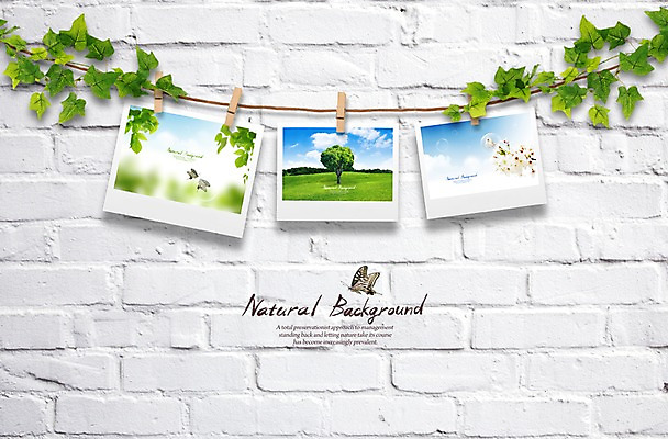 PSD 동물 편집이미지 줄 벽 나비 곤충 백그라운드 잎 나뭇잎 집게 사람없음 장식 담쟁이덩굴 덩굴 기념사진 활용 이미지편집 식물 컨셉 파일형식