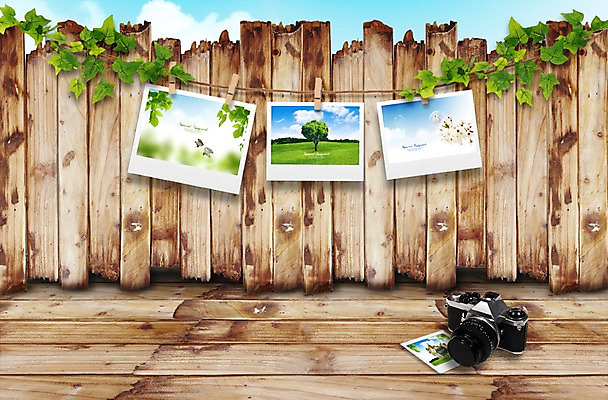 PSD 식물 편집이미지 줄 벽 백그라운드 하늘 사람없음 카메라 담쟁이덩굴 덩굴 나무바닥 나무벽 기념사진 나무집게 활용 이미지편집 컨셉 바닥 집게 목재 전자제품 파일형식