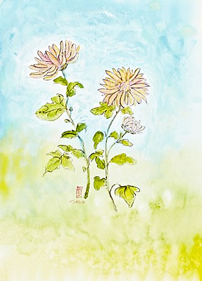 JPG 식물 꽃 화초 백그라운드 잎 일러스트 자연 수채화 국화 가을꽃 미술 사람없음 시화 그림 세송이 국내일러스트 문화예술 3 생태계 파일형식 가을_계절