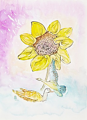 JPG 식물 동물 꽃 화초 호수 컬러 백그라운드 두마리 한송이 일러스트 자연 조류 해바라기 수채화 미술 사람없음 강 노란색 비행 시화 그림 날갯짓 국내일러스트 1 2 문화예술 생태계 송이 파일형식