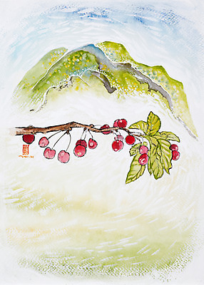 JPG 나무 식물 열매 백그라운드 잎 과일 일러스트 자연 나뭇잎 수채화 산 미술 풍경 사람없음 나뭇가지 시화 그림 산등성이 나무열매 국내일러스트 문화예술 생태계 파일형식